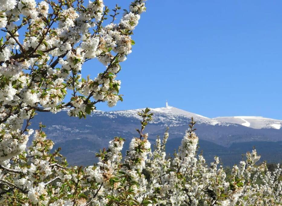 Les Tarraiettes Au Pied Du Luberon Holiday home Lourmarin